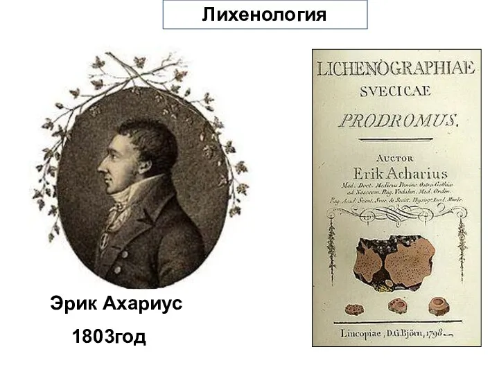 Эрик Ахариус 1803год Лихенология