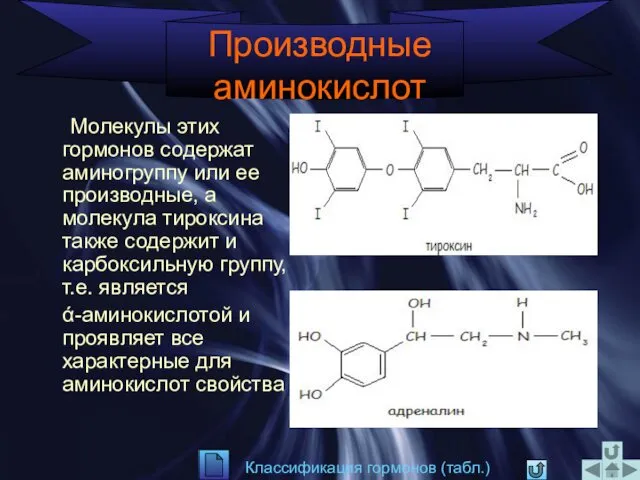 Производные аминокислот Молекулы этих гормонов содержат аминогруппу или ее производные,