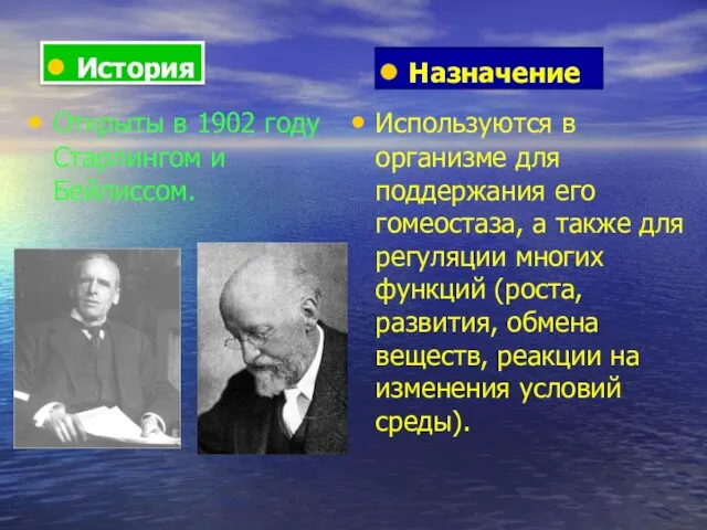 Используются в организме для поддержания его гомеостаза, а также для