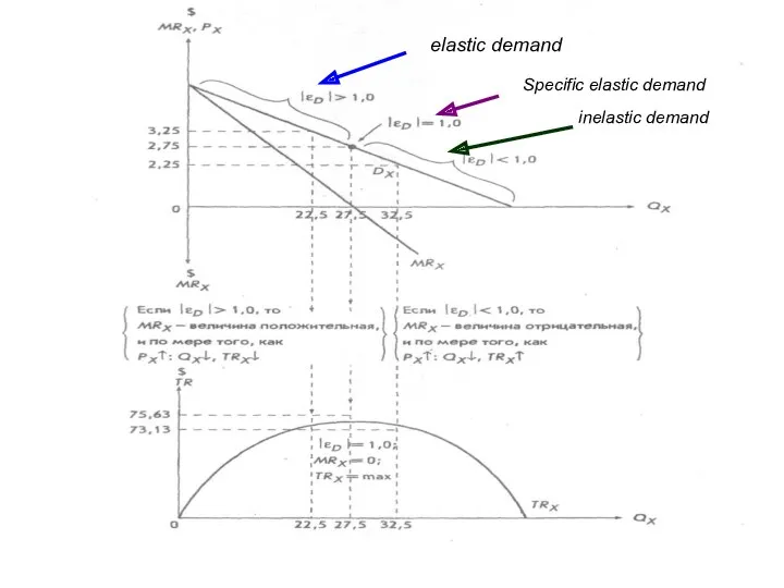 elastic demand inelastic demand Specific elastic demand