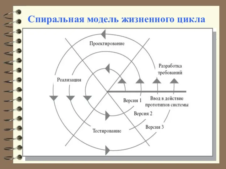 Спиральная модель жизненного цикла