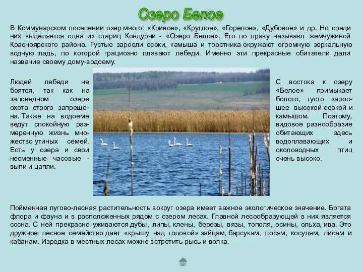 В Коммунарском поселении озер много: «Кривое», «Круглое», «Горелое», «Дубовое» и