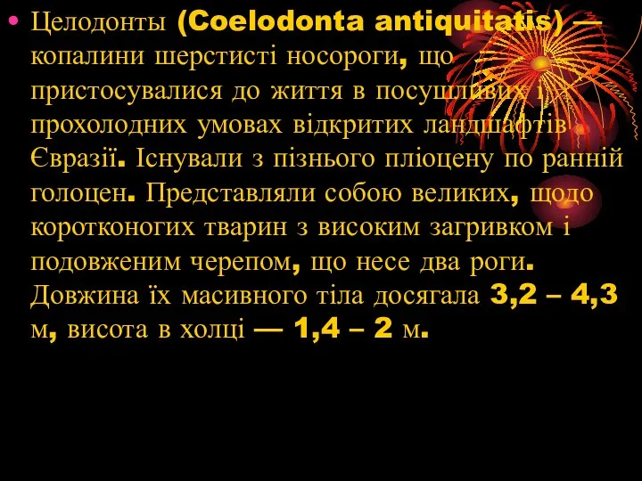 Целодонты (Coelodonta antiquitatis) — копалини шерстисті носороги, що пристосувалися до