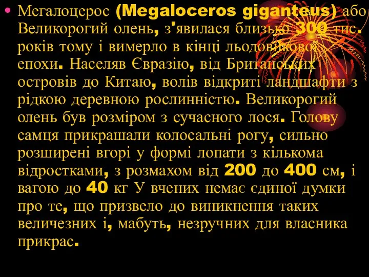 Мегалоцерос (Megaloceros giganteus) або Великорогий олень, з'явилася близько 300 тис.