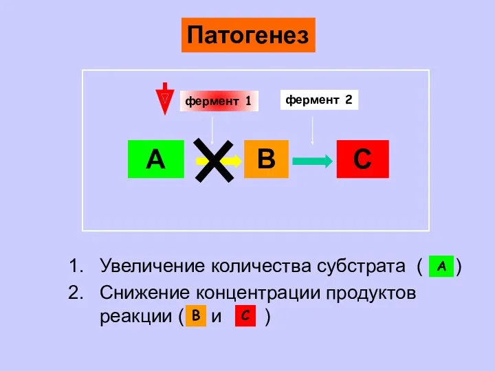 А В С фермент 1 фермент 2 Увеличение количества субстрата