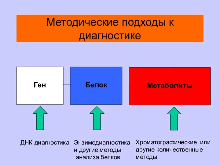 Методические подходы к диагностике Ген Белок Метаболиты ДНК-диагностика Энзимодиагностика и