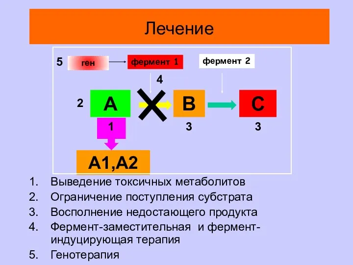 А В С А1,А2 фермент 1 фермент 2 Выведение токсичных