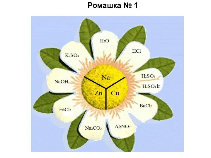 Ромашка № 1