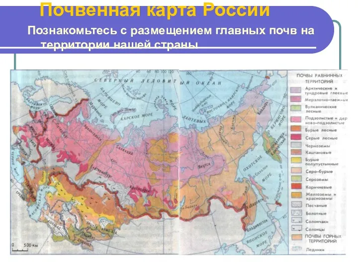 Почвенная карта России Познакомьтесь с размещением главных почв на территории нашей страны