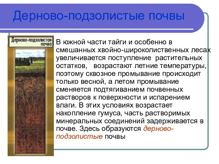 Дерново-подзолистые почвы В южной части тайги и особенно в смешанных