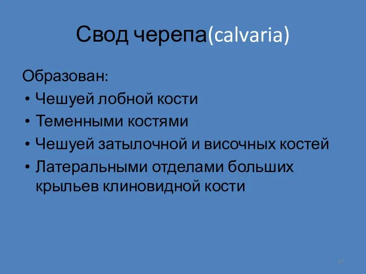 Свод черепа(calvaria) Образован: Чешуей лобной кости Теменными костями Чешуей затылочной