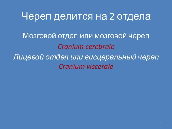 Череп делится на 2 отдела Мозговой отдел или мозговой череп