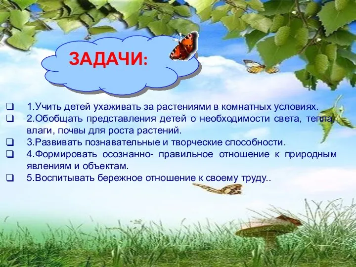 ЗАДАЧИ: 1.Учить детей ухаживать за растениями в комнатных условиях. 2.Обобщать