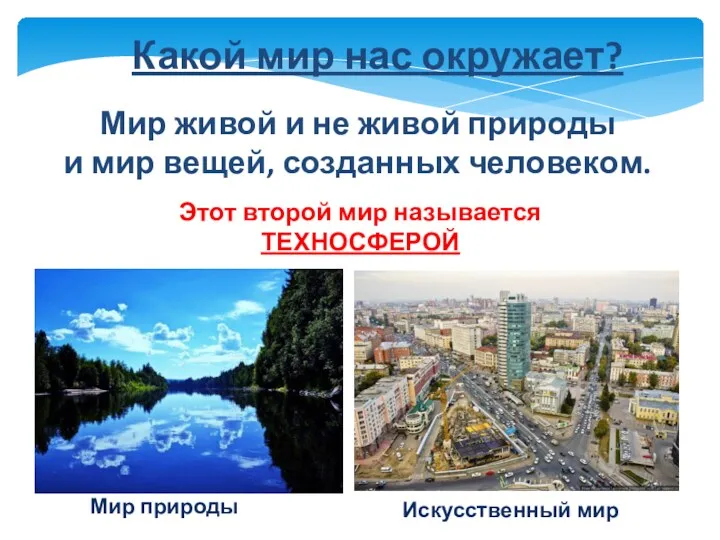 Какой мир нас окружает? Мир живой и не живой природы