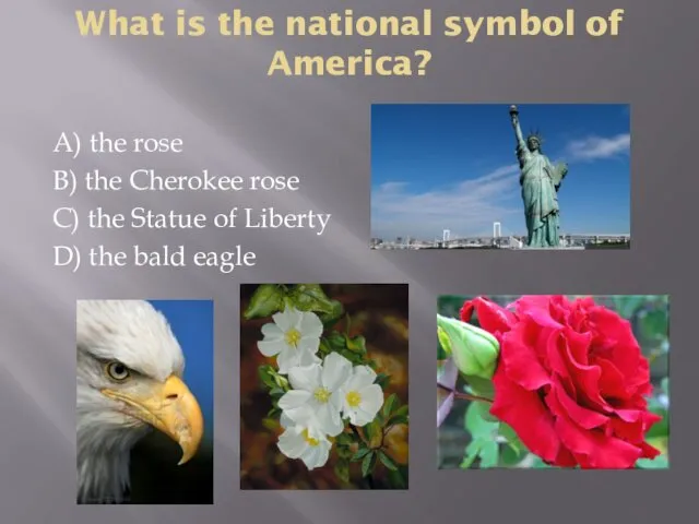 What is the national symbol of America? A) the rose