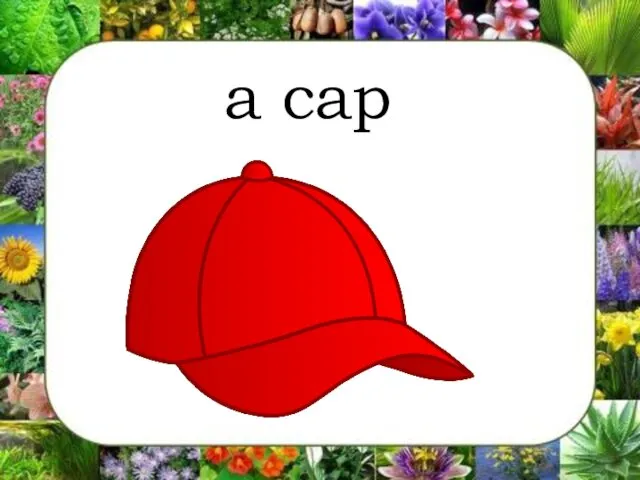 a cap