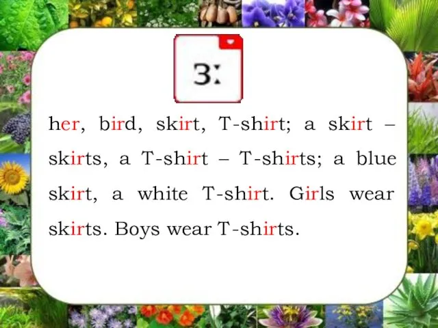 her, bird, skirt, T-shirt; a skirt – skirts, a T-shirt