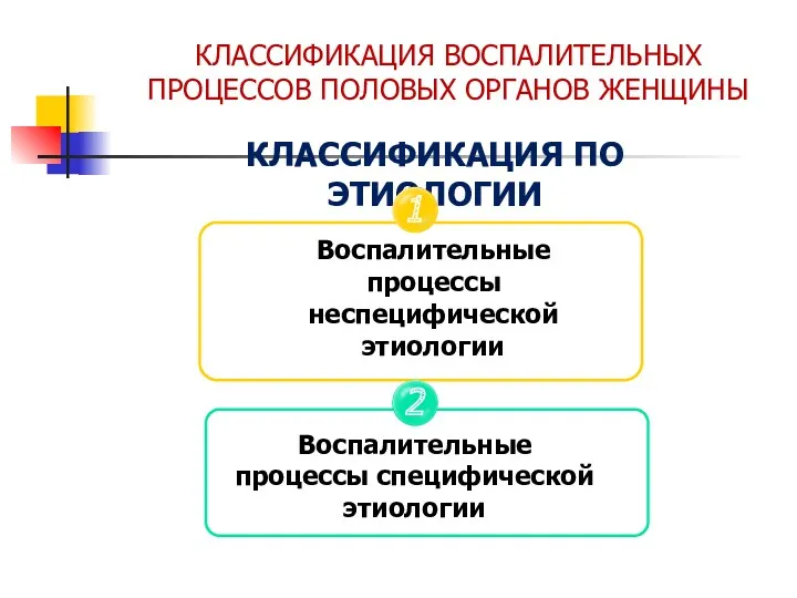 КЛАССИФИКАЦИЯ ВОСПАЛИТЕЛЬНЫХ ПРОЦЕССОВ ПОЛОВЫХ ОРГАНОВ ЖЕНЩИНЫ КЛАССИФИКАЦИЯ ПО ЭТИОЛОГИИ 1