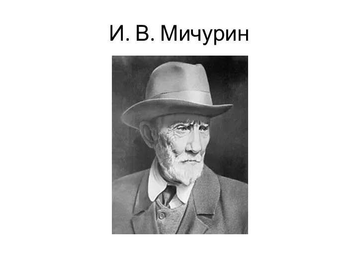 И. В. Мичурин