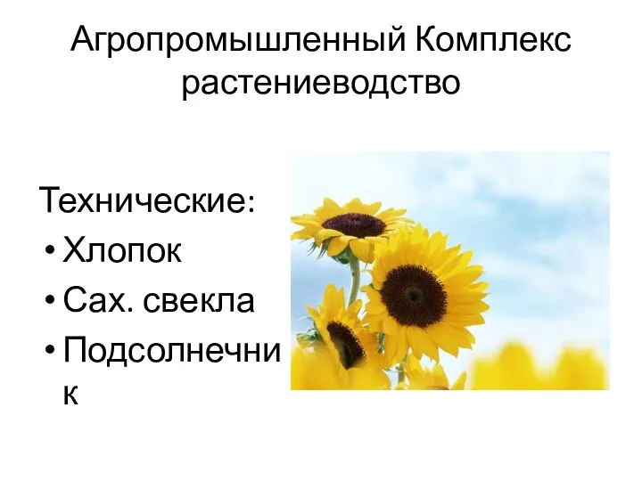 Агропромышленный Комплекс растениеводство Технические: Хлопок Сах. свекла Подсолнечник