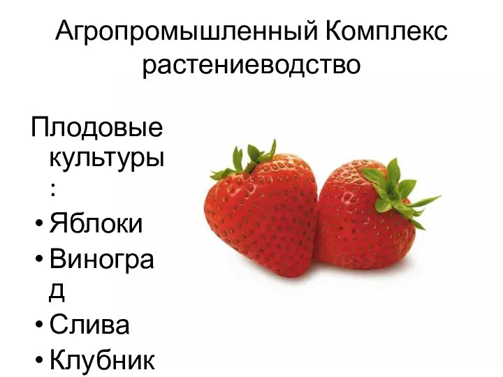 Агропромышленный Комплекс растениеводство Плодовые культуры: Яблоки Виноград Слива Клубника