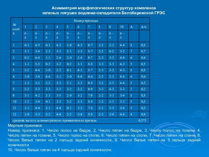 Асимметрия морфологических структур комплекса зеленых лягушек водоема-охладителя Белобережской ГРЭС Мерные