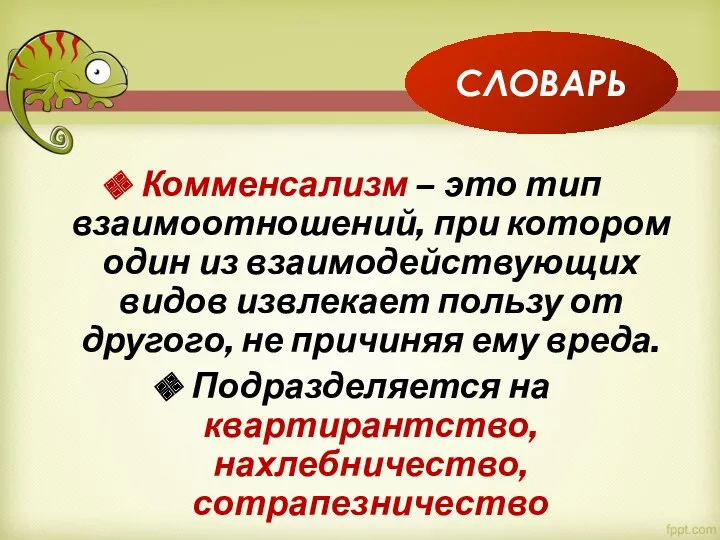 Комменсализм – это тип взаимоотношений, при котором один из взаимодействующих