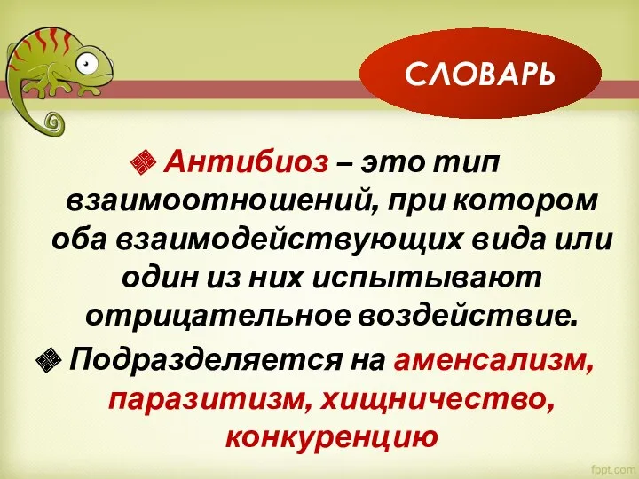 Антибиоз – это тип взаимоотношений, при котором оба взаимодействующих вида