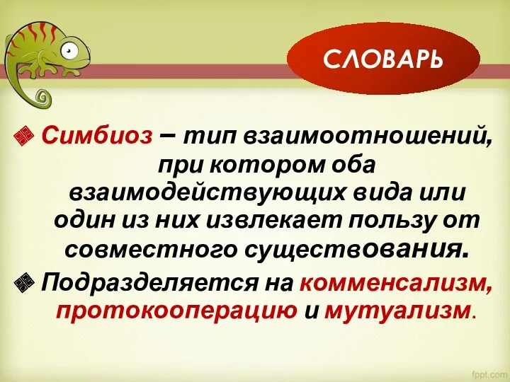 Симбиоз – тип взаимоотношений, при котором оба взаимодействующих вида или