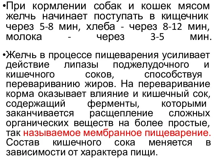 При кормлении собак и кошек мясом желчь начинает поступать в