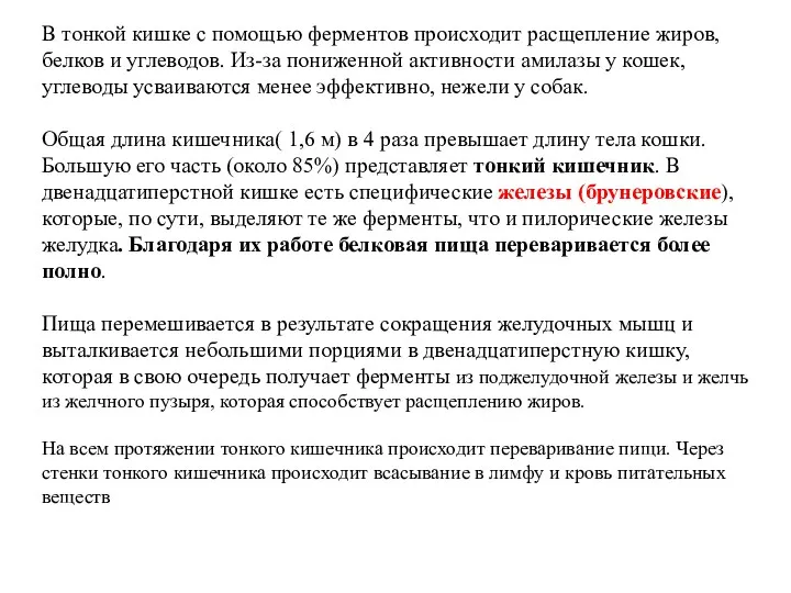 В тонкой кишке с помощью ферментов происходит расщепление жиров, белков