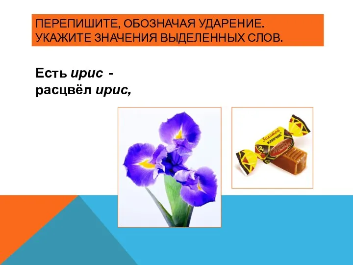 ПЕРЕПИШИТЕ, ОБОЗНАЧАЯ УДАРЕНИЕ. УКАЖИТЕ ЗНАЧЕНИЯ ВЫДЕЛЕННЫХ СЛОВ. Есть ирис - расцвёл ирис,