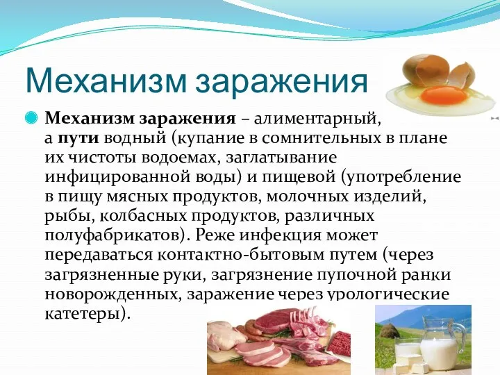 Механизм заражения Механизм заражения – алиментарный, а пути водный (купание