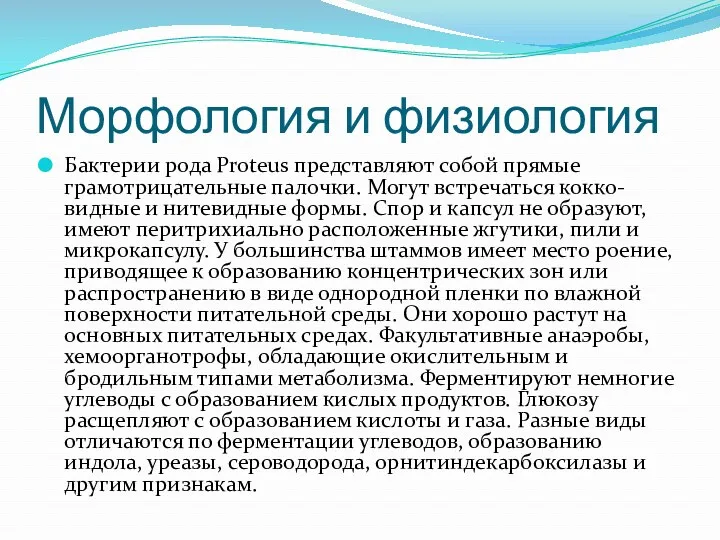 Морфология и физиология Бактерии рода Proteus представляют собой прямые грамотрицательные