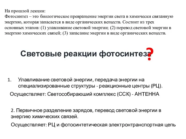 Световые реакции фотосинтеза Улавливание световой энергии, передача энергии на специализированные