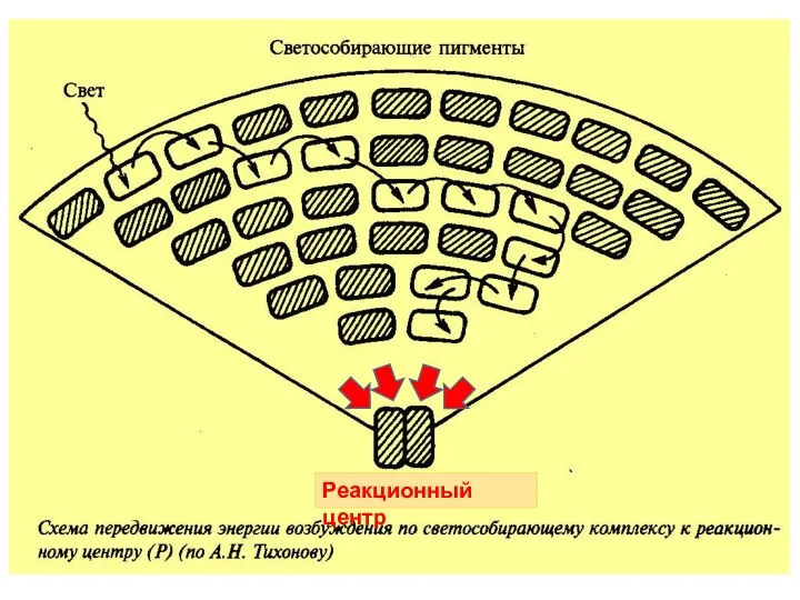 Реакционный центр