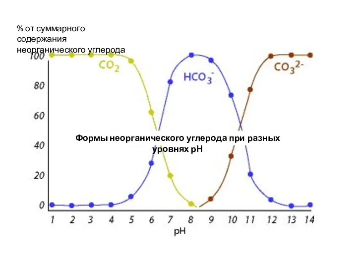 Формы неорганического углерода при разных уровнях рН % от суммарного содержания неорганического углерода