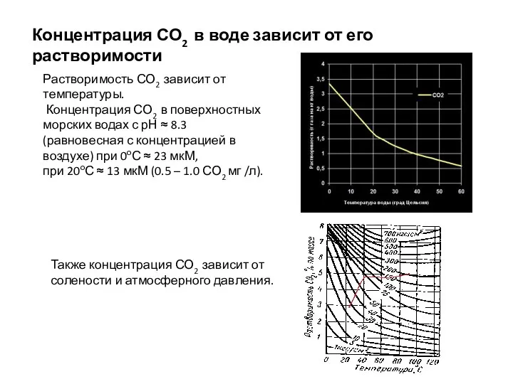 Растворимость СО2 зависит от температуры. Концентрация СО2 в поверхностных морских