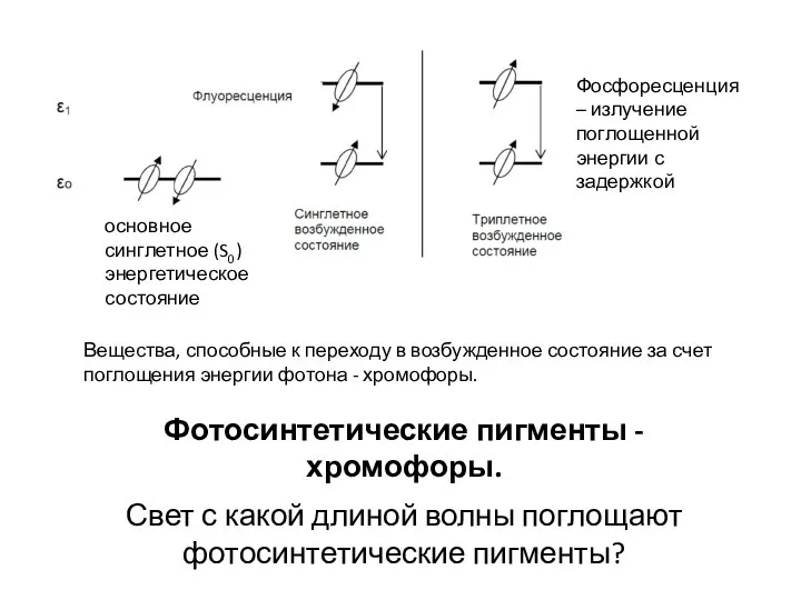 Вещества, способные к переходу в возбужденное состояние за счет поглощения