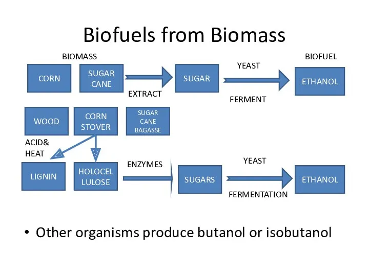 Biofuels from Biomass CORN SUGAR CANE SUGAR EXTRACT BIOMASS ETHANOL