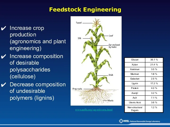 www.nefb.org/ ag-ed/corn.html Increase crop production (agronomics and plant engineering) Increase