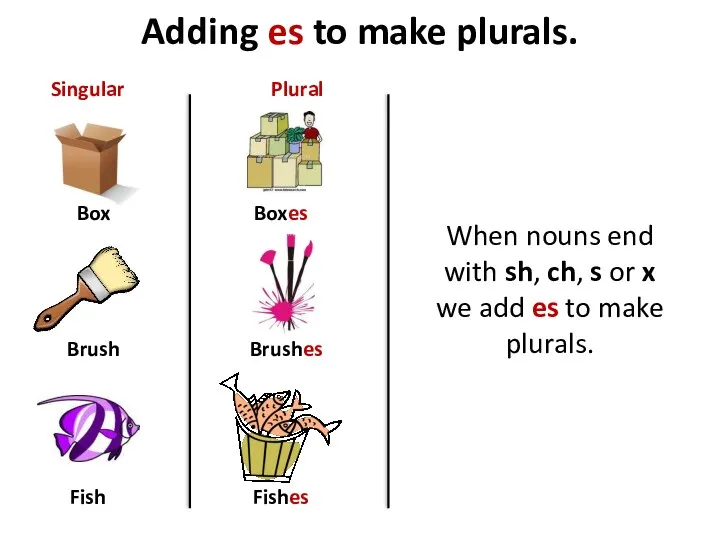 Adding es to make plurals. Box Brush Fish Boxes Brushes