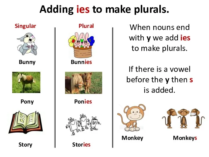 Adding ies to make plurals. Bunny Pony Story Bunnies Ponies