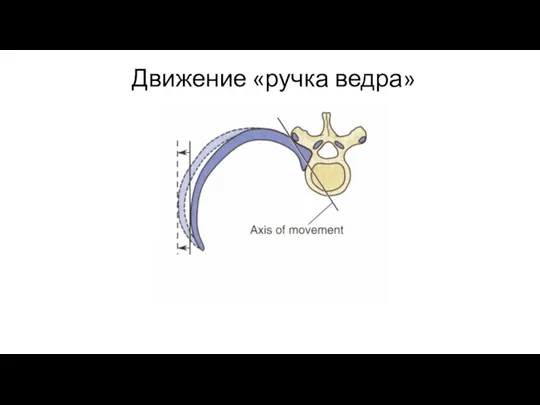 Движение «ручка ведра»