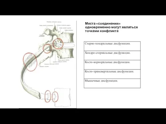 Места «соединения» одновременно могут являться точками конфликта