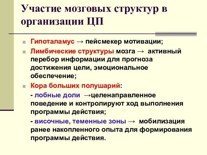 Участие мозговых структур в организации ЦП Гипоталамус → пейсмекер мотивации;