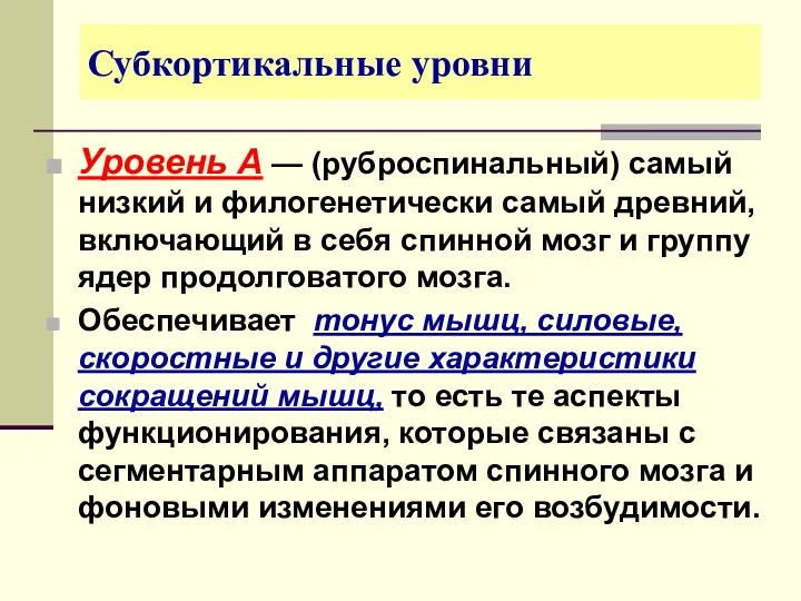 Субкортикальные уровни Уровень А — (руброспинальный) самый низкий и филогенетически