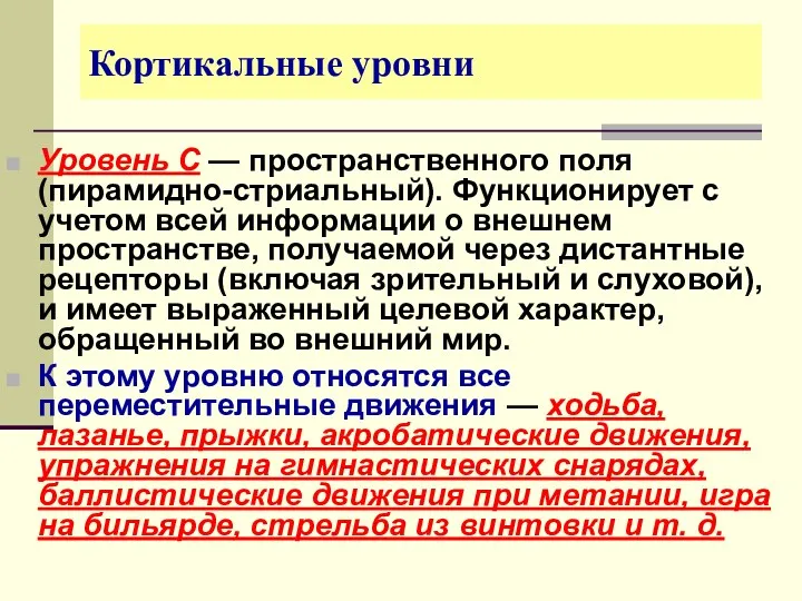 Кортикальные уровни Уровень С — пространственного поля (пирамидно-стриальный). Функционирует с