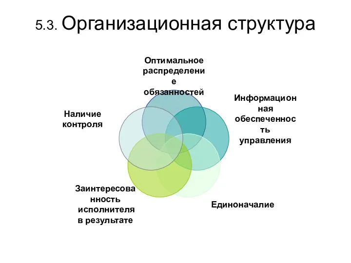 5.3. Организационная структура