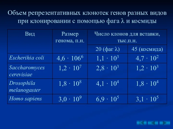 Объем репрезентативных клонотек генов разных видов при клонировании с помощью фага λ и космиды